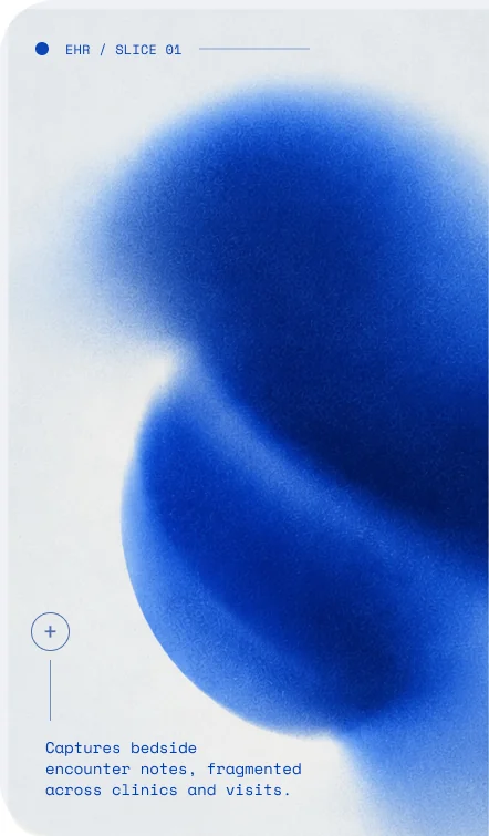 EHR / Slice 01 — captures bedside encounter notes, fragmented across clinics and visits.