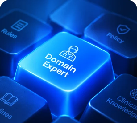 Domain Expert — Rules in plain language